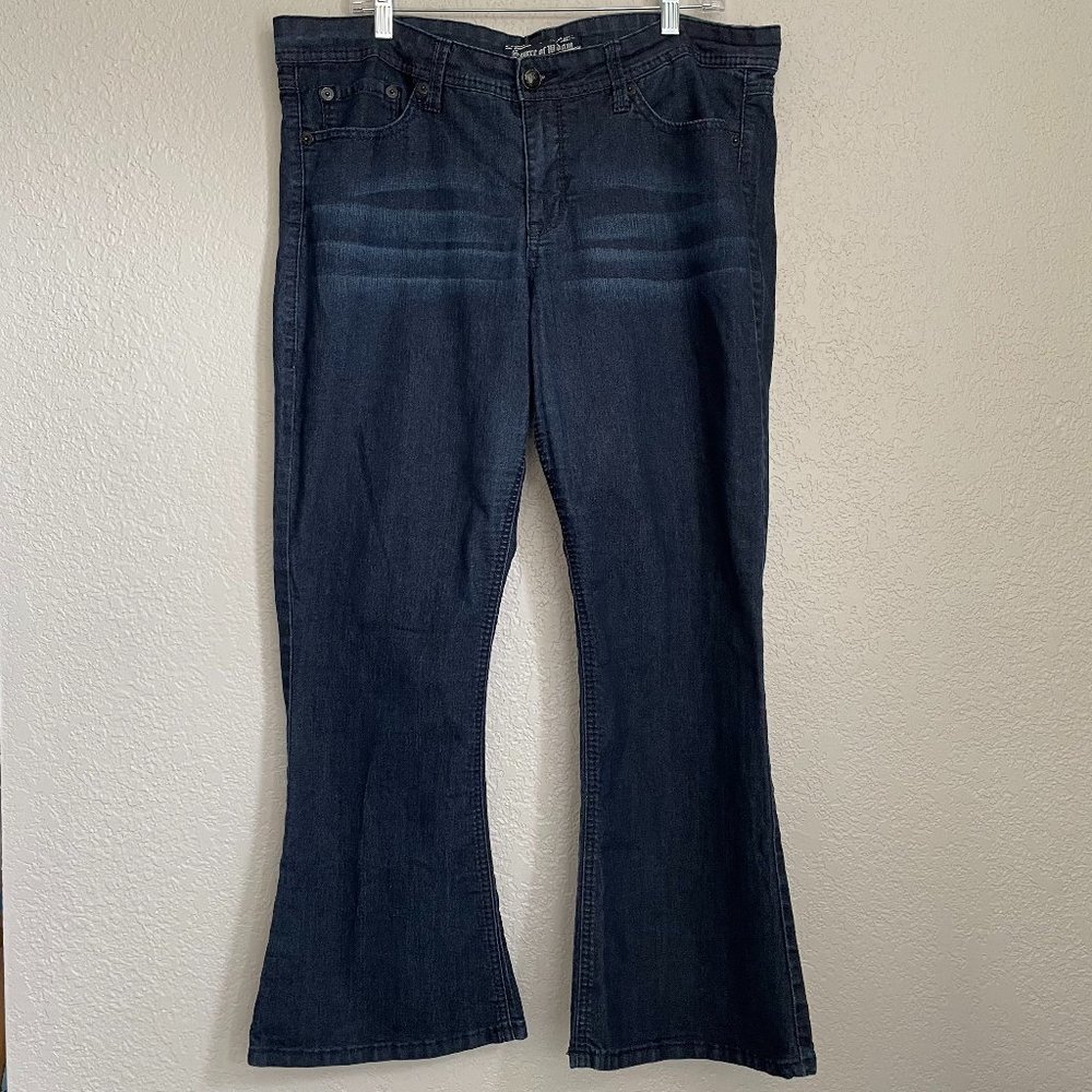 Torrid Source of Wisdom Dark Wash Flare Jeans Size 18